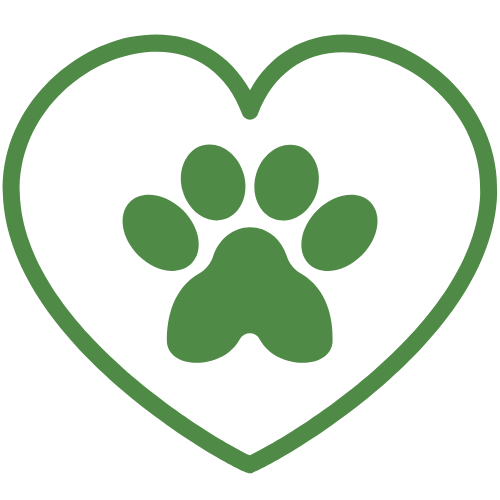 senior pet care