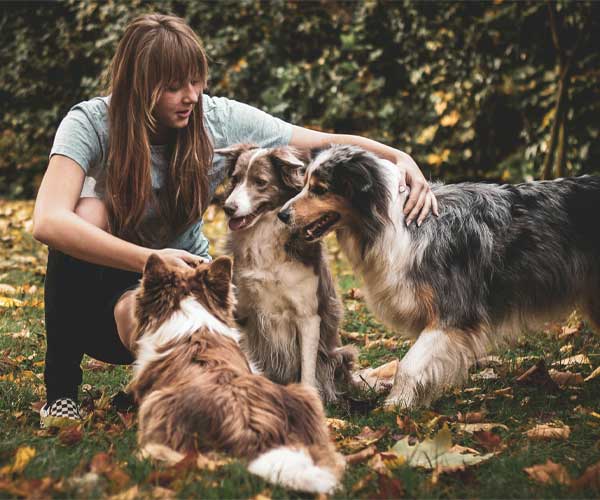 A girl playing with three dogs