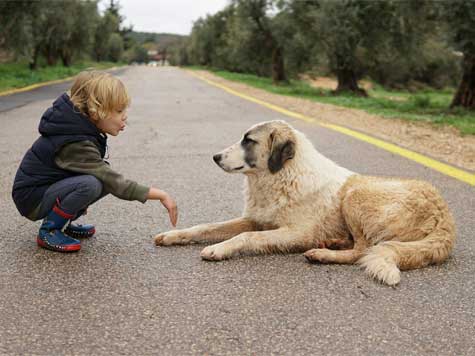 An lady with her happy large white Spitz