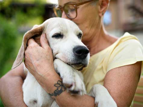 An old dog being hugged by its owner