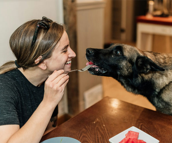 An owner feeding her dog