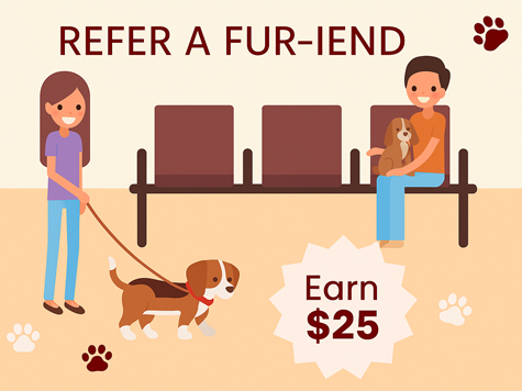Special Referral banner
