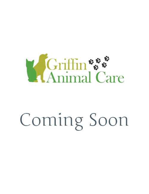 Coming Soon Logo
