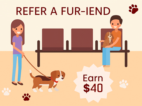 Special Referral banner
